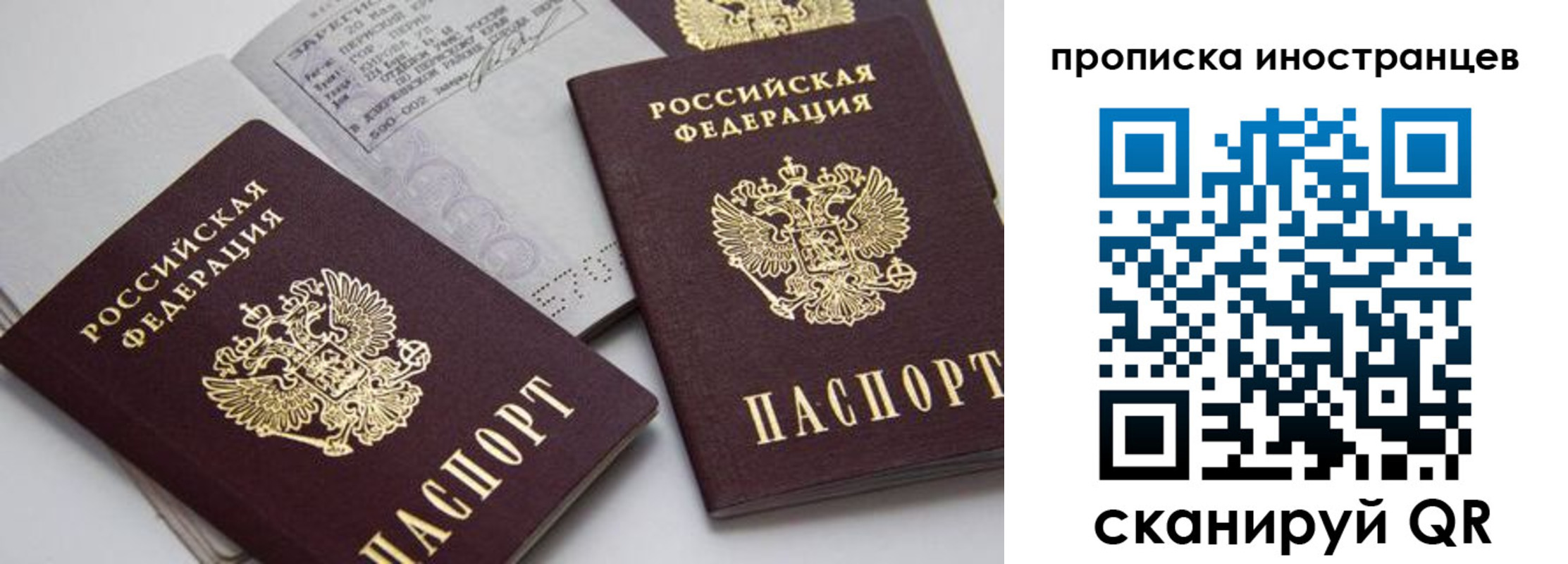 прописка поиск в Губкине